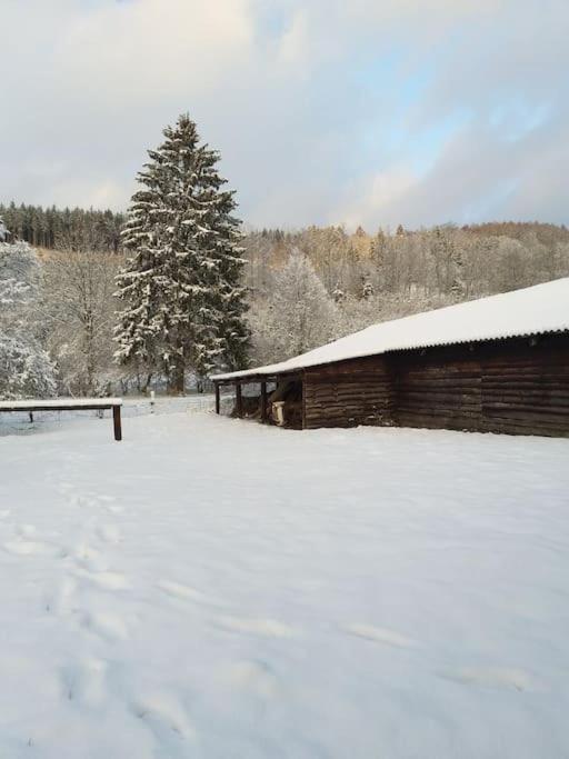 Charmante Maison De Caractere A 2Km De Redu Libin Extérieur photo